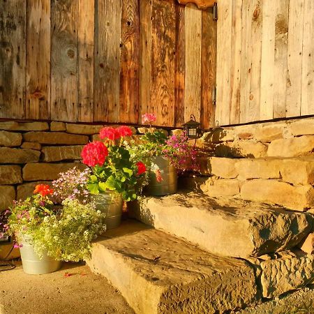 Villa Granny'S House Moisei Exterior foto