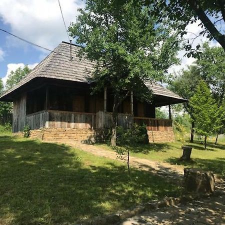 Villa Granny'S House Moisei Exterior foto