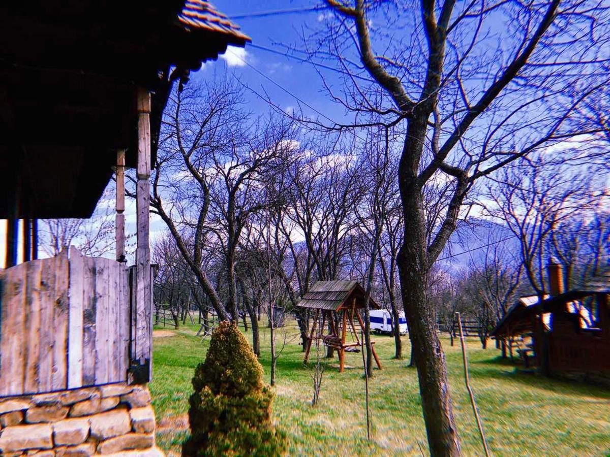 Villa Granny'S House Moisei Exterior foto