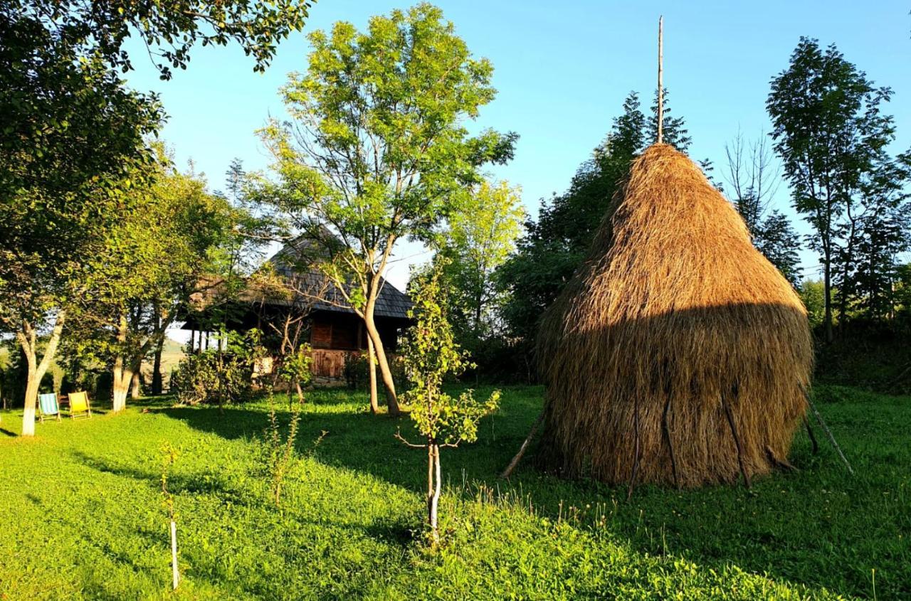 Villa Granny'S House Moisei Exterior foto